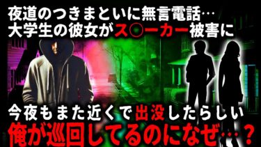 【ゆっくりシルエット】【怖い話】彼女がストー○ー被害にあっているらしい…！俺は彼女の帰り道の巡回を強化したのだが…【ゆっくり】