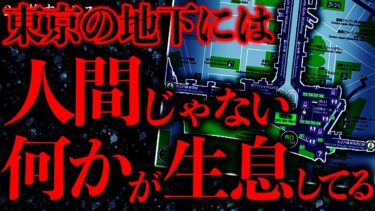 【進化したまーくん】【マジで怖い話まとめ70】知っているか？東京の地下には恐ろしい何かが存在している…【2ch怖いスレ】【ゆっくり解説】