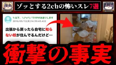 【おしえて!オカルト先生】【衝撃の事実】ゾッとする2chの怖いスレ7選【ゆっくり解説】