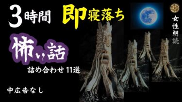 【怪談朗読と午前二時】【睡眠導入/怖い話】　途中広告なし/女声　詰め合わせ11選　【女性/怪談朗読/長編/ホラー/ミステリー/洒落怖】