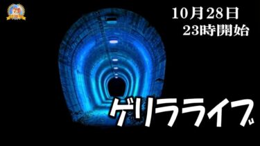 【怪談YouTuberルルナル】２３時開始　ルルナルゲリラライブ２２０２４１０２８