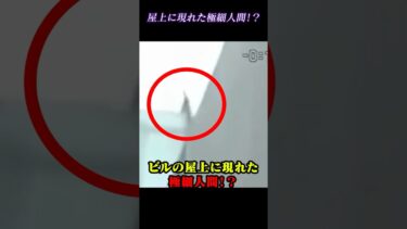 【恐怖映像紹介チャンネル】【心霊映像】ビルの屋上に現れた極細人間！？