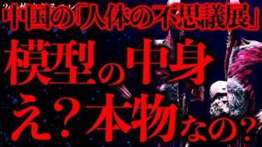 【進化したまーくん】【闇が深い怖い話まとめ9】中国の『人体の不思議展』とかいう展覧会が狂いすぎててヤバい…【2ch怖いスレ】【ゆっくり解説】