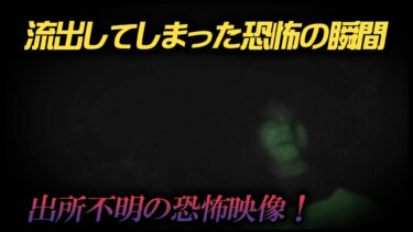 【ホラーチャンネル】【心霊怪奇映像】流出してしまった恐怖の瞬間！出所不明の恐怖映像！