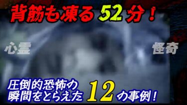 【ホラーチャンネル】【心霊怪奇】背筋も凍る52分！圧倒的恐怖の瞬間をとらえた12の事例！