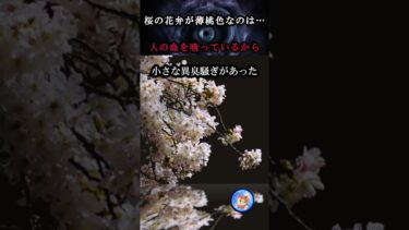 【怪談YouTuberルルナル】桜の木には… #都市伝説 #怪談 #ホラー #怖い話