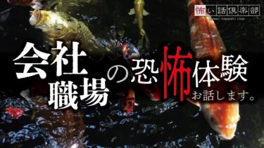 【怖い話倶楽部】【怖い話】会社・職場の怖い話【怪談朗読】「島の養殖場」「漫画家のアシスタント」「予約席」