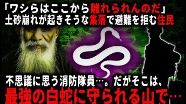 【ゆっくりシルエット】【怖い話】大雨で住人に避難を呼びかける消防隊員…。だがその集落の住人は逃げようとせず…【ゆっくり】