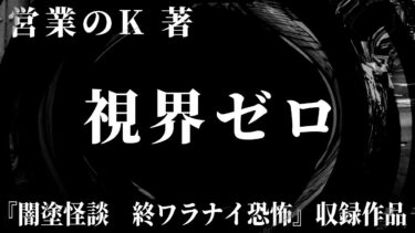 【怪談朗読】【怪談】視界ゼロ【朗読】