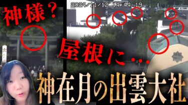 【七四六家】霊が視える人と一緒に、日本中の神様が集結した神無月（神在月）の出雲大社のライブカメラを見たら、一柱くらい神様視えるんじゃね？【心霊】