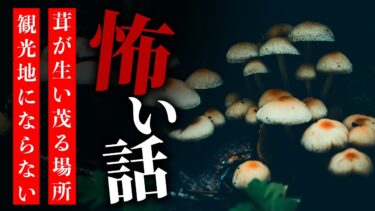 【りっきぃの夜話】【怪談朗読】怖い話 三話詰め合わせ「木の下で聞いた声」「茸が生い茂る場所」「観光地にならない理由」【りっきぃの夜話】