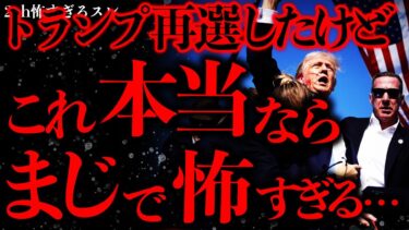 【進化したまーくん】【アメリカの怖い話まとめ】トランプ大統領が再選したけどさ…裏でこんなヤバい事件が起こってたらしいんだが…【2ch怖いスレ】【ゆっくり解説】