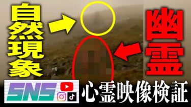 【七四六家】幽霊が視える人と一緒にハイキング中に黒い影がついてくる映像を見た結果、不憫な霊に思わず同情をしてしまった【SNS心霊映像検証】