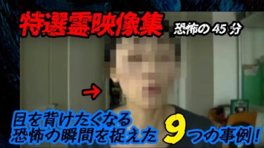 【ホラーチャンネル】【特選霊映像集】恐怖の45分！目を背けたくなる恐怖の瞬間を捉えた9つの事例！