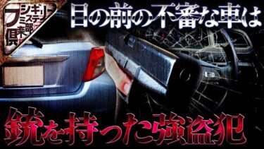 【フシギミステリー倶楽部】【衝撃事件】リアガラスが割れた不審な車｡運転手の手には銃が握られていて…｡【ナナフシギ】