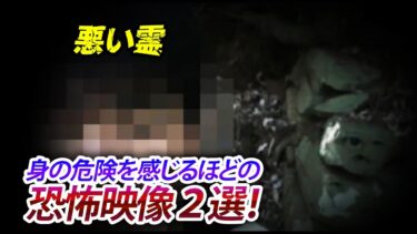 【ホラーチャンネル】【心霊映像集】身の危険を感じるほどの恐怖映像２選！