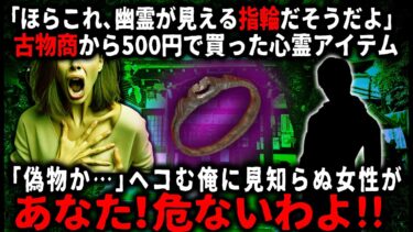 【ゆっくりシルエット】【怖い話】オカルト好きな俺が古物商から買った”幽霊が見える指輪”。ワクワクして指にはめてみたが何も起こらず。「なんだニセモノか～」とガッカリしていたら…【ゆっくり】