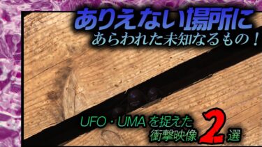 【ホラーチャンネル】【UFO・UMA】ありえない場所に現れた未知なるもの！UFO・UMAの姿を捉えた衝撃映像２選！