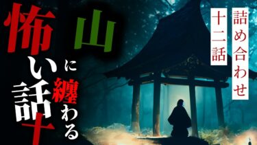 【りっきぃの夜話】【怪談朗読】山に纏わる怖い話まとめその十 十二話詰め合わせ【りっきぃの夜話】