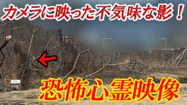 【ホラーチャンネル】【監視カメラ】恐怖心霊映像！カメラに映った不気味な影！