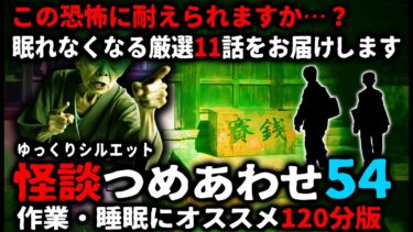 【ゆっくりシルエット】【怖い話】怖すぎてごめんなさい…怖い話２時間つめあわせパート54【ゆっくり】