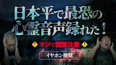 【ナナフシギ】※ガチ閲覧注意!!※「ﾀｽｹﾃ…」心霊音声にスタジオ絶句!視聴者も不調続出!!【ナナフシギ】【怖い話】