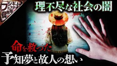 【フシギミステリー倶楽部】【感動怪談】不思議な能力を持つ女性が体験した感動のストーリー｢N さんシリーズ｣【ナナフシギ】