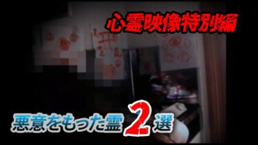 【ホラーチャンネル】【心霊映像特別編】悪意をもった霊2選　ご視聴にはご注意を！