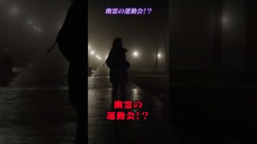 【恐怖映像紹介チャンネル】心霊映像!?幽霊の運動会!?