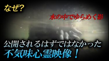 【ホラーチャンネル】【心霊映像】なぜ？公開されるはずではなかった不気味心霊映像！