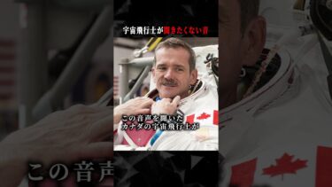 【ごまだんごの怪奇なチャンネル】宇宙飛行士が聞きたくない音 #ホラー #horror