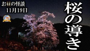 【怪談YouTuberルルナル】神秘の導き！ 【怖い話】 お昼の怪談 11月19日 【怪談,睡眠用,作業用,朗読つめあわせ,オカルト,ホラー,都市伝説】