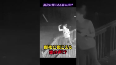 【恐怖映像紹介チャンネル】心霊映像！？闇夜に聞こえる霊の声！？