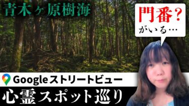 【七四六家】霊が視える人と一緒についにあの「青木ヶ原樹海」を見た結果、樹海のイメージが180度変わった…【ストビュー心スポ巡り】