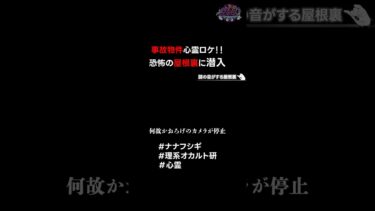 【ナナフシギ】事故物件心霊ロケ‼️恐怖の屋根裏へ潜入すると… #ナナフシギ #理系のオカルト研 #心霊