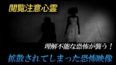 【ホラーチャンネル】【閲覧注意心霊】拡散されてしまった恐怖映像　理解不能な恐怖が襲う！