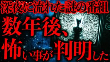 【進化したまーくん】【マジで怖い話まとめ108】深夜に突如放送された謎の映像→十数年後、恐ろしい事実が発覚する…【2ch怖いスレ】【ゆっくり解説】