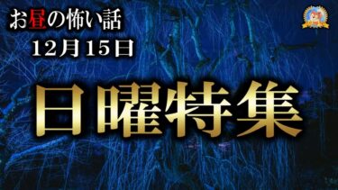 【怪談YouTuberルルナル】日曜スペシャル 【怖い話】 お昼の怪談 12月15日 【怪談,睡眠用,作業用,朗読つめあわせ,オカルト,ホラー,都市伝説】