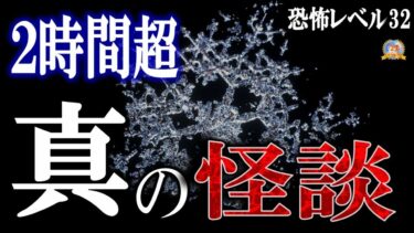 【怪談YouTuberルルナル】真冬にゾクッとしてもらいます 【怖い話】 総集編ルルナルの『真』 第三十二巻 【怪談,睡眠用,作業用,朗読つめあわせ,オカルト,ホラー,都市伝説】