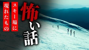 【りっきぃの夜話】【怪談朗読】怖い話 三話詰め合わせ「変なモノが撮れたんだ……」「スキー場に現れたもの」「ヤマニシさん」【りっきぃの夜話】