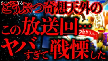 【進化したまーくん】【マジで怖い話まとめ107】「ど●ぶつ奇想天外」で実際に放送されたある映像にお茶の間が凍ってしまう…【2ch怖いスレ】【ゆっくり解説】