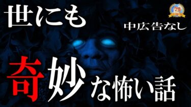 【怪談YouTuberルルナル】途中広告なし！ 【怖い話】 世にも奇妙な怖い話 【怪談,睡眠用,作業用,朗読つめあわせ,オカルト,ホラー,都市伝説】