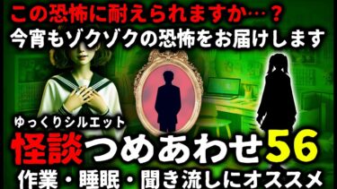 【ゆっくりシルエット】【怖い話】怖すぎてごめんなさい…怖い話つめあわせパート56【ゆっくり】