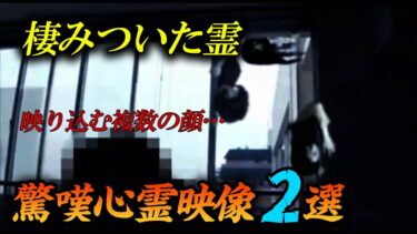 【ホラーチャンネル】【わけあり映像】棲みついた霊　驚嘆心霊映像2選！