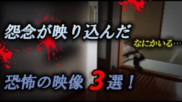 【ホラーチャンネル】【悪い霊】怨念が映り込んだ恐怖の映像3選！なにかいる…