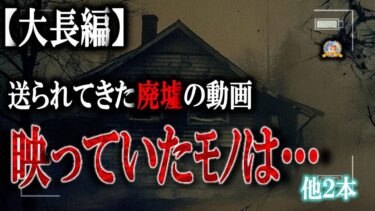 【怪談YouTuberルルナル】途中広告なしの大長編！ 【怖い話】 友達から心霊動画が送られてきた…他2本 【怪談,睡眠用,作業用,朗読つめあわせ,オカルト,ホラー,都市伝説】