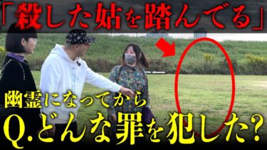 【七四六家】町中にいる幽霊たちに「死後どんな犯罪を犯した？」と聞いてみたら、あまりに無法地帯で笑えなくなった…【心霊】【幽霊インタビュー】