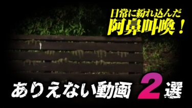 【ホラーチャンネル】【恐怖の時間】日常に紛れ込んだ阿鼻叫喚　ありえない動画２選！