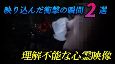 【ホラーチャンネル】【投稿恐怖映像】映り込んだ衝撃の瞬間２選！理解不能な心霊映像