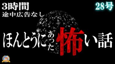 【怪談YouTuberルルナル】３時間途中広告なし！【怖い話】 ほんとうにあった怖い話 28号 【怪談,睡眠用,作業用,朗読つめあわせ,オカルト,ホラー,都市伝説】